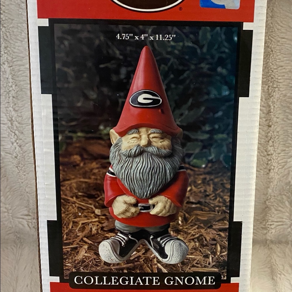 Georgia Nome